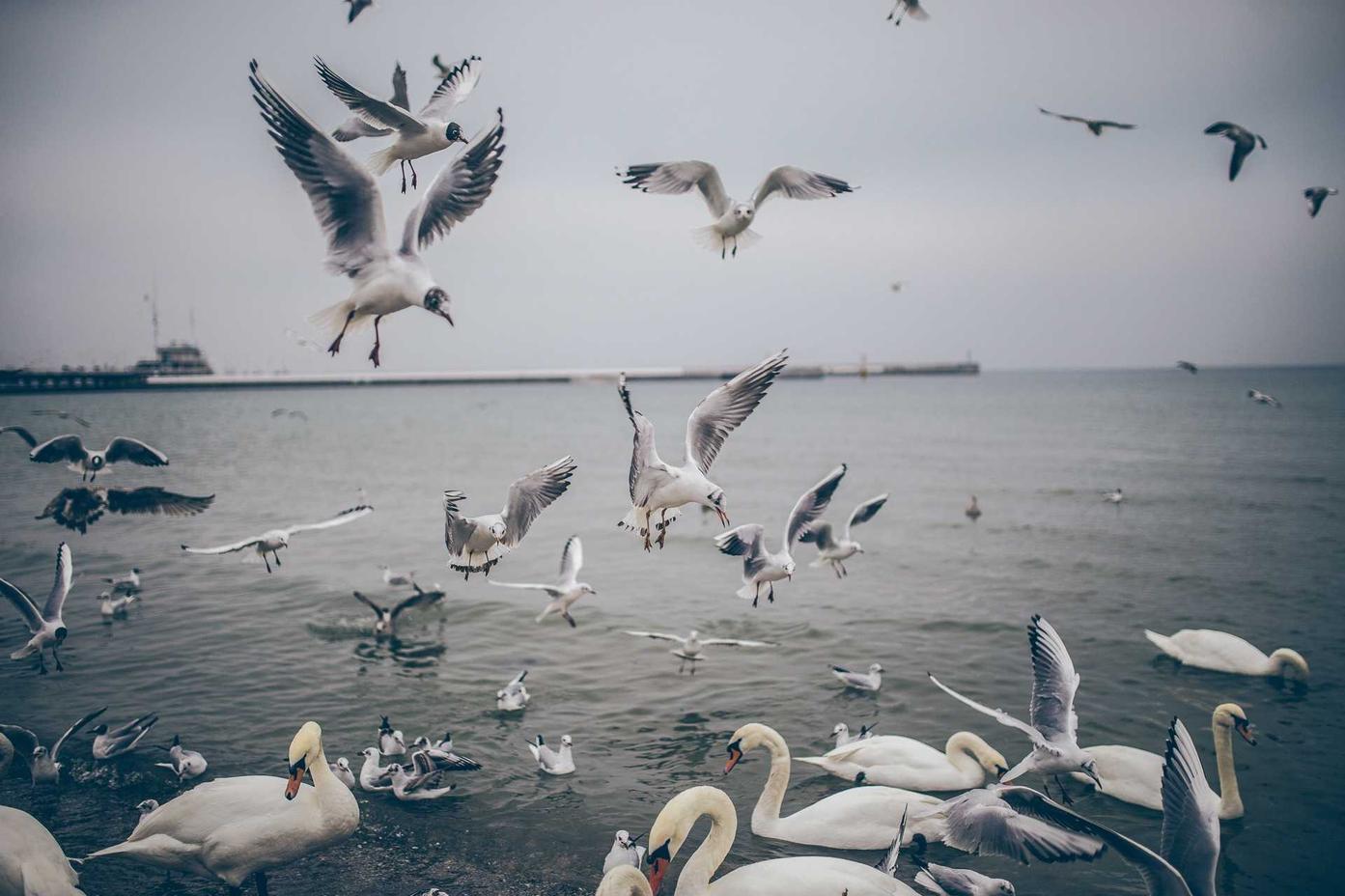 Qui aspernatur distinctio et ut fuga voluptate quas